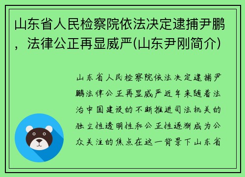 山东省人民检察院依法决定逮捕尹鹏，法律公正再显威严(山东尹刚简介)