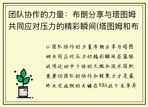 团队协作的力量：布朗分享与塔图姆共同应对压力的精彩瞬间(塔图姆和布朗的技术对比)