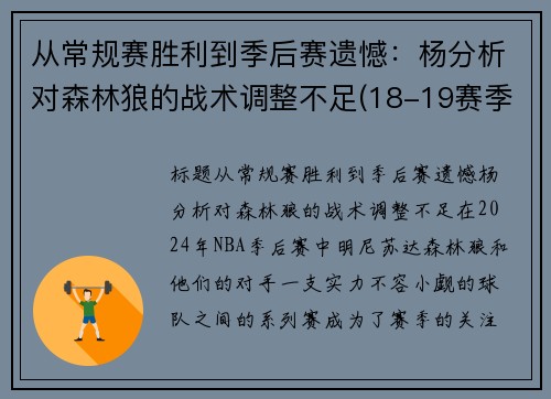从常规赛胜利到季后赛遗憾：杨分析对森林狼的战术调整不足(18-19赛季森林狼)