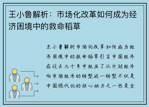 王小鲁解析：市场化改革如何成为经济困境中的救命稻草