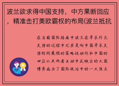 波兰欲求得中国支持，中方果断回应，精准击打美欧霸权的布局(波兰抵抗)